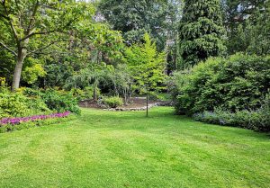 Optimiser l'expérience du jardin à Ernolsheim-Bruche